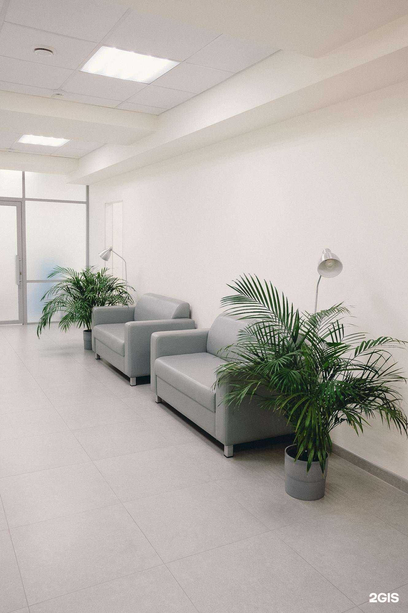 Отзывы на компанию Айболит в г. Казань c фото