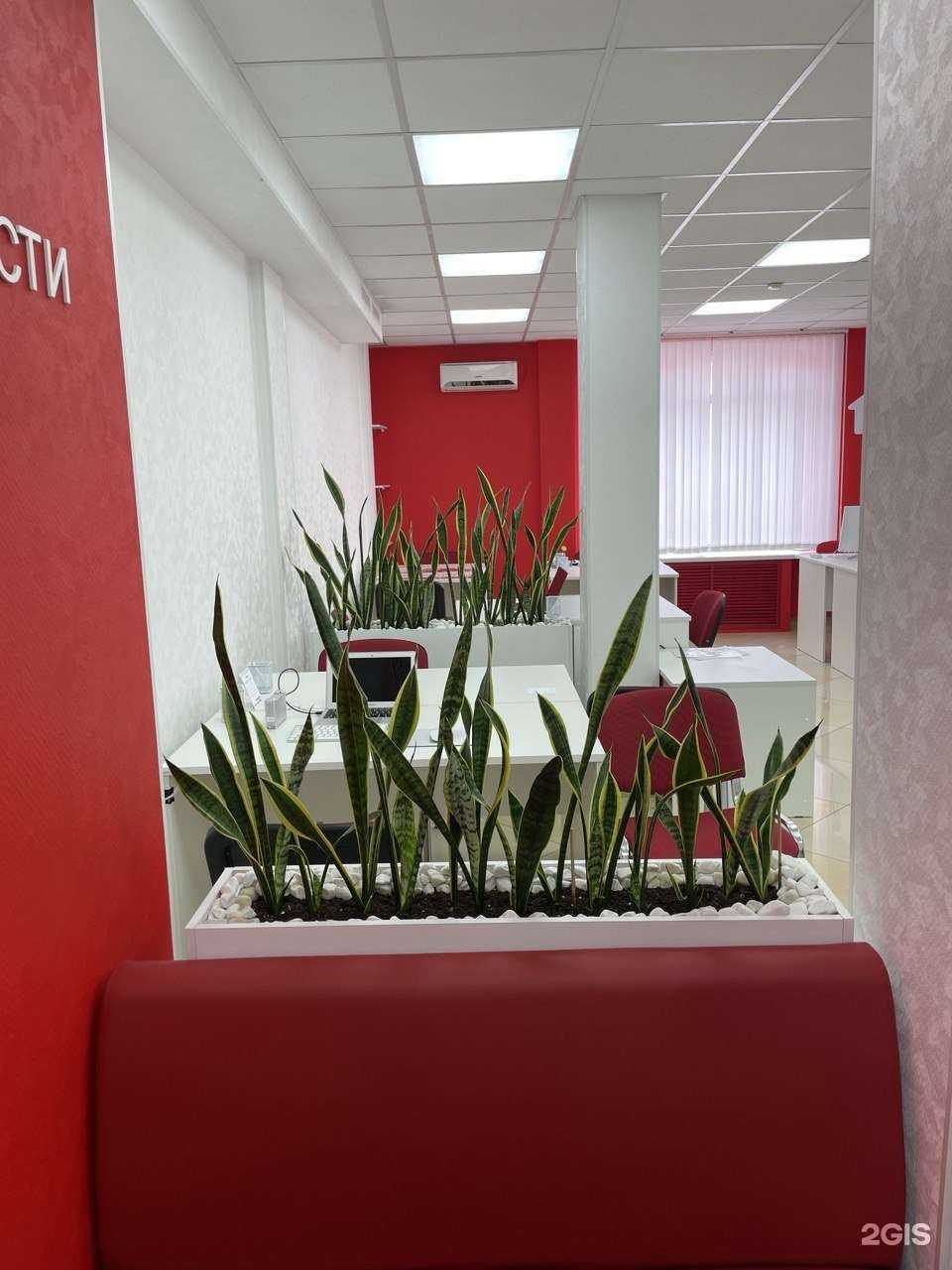 Отзывы на компанию Владис в Подольске c фото