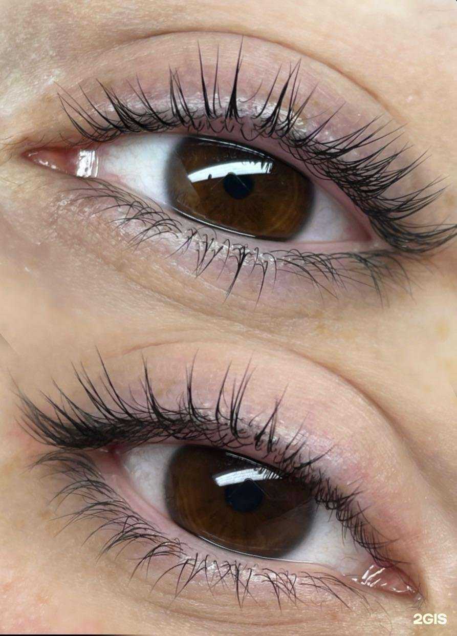Отзывы на компанию Dz Lash в Калининграде c фото