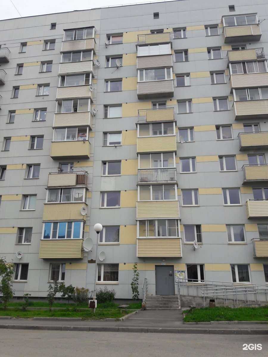 Отзывы на компанию Декоратор в Петрозаводске c фото