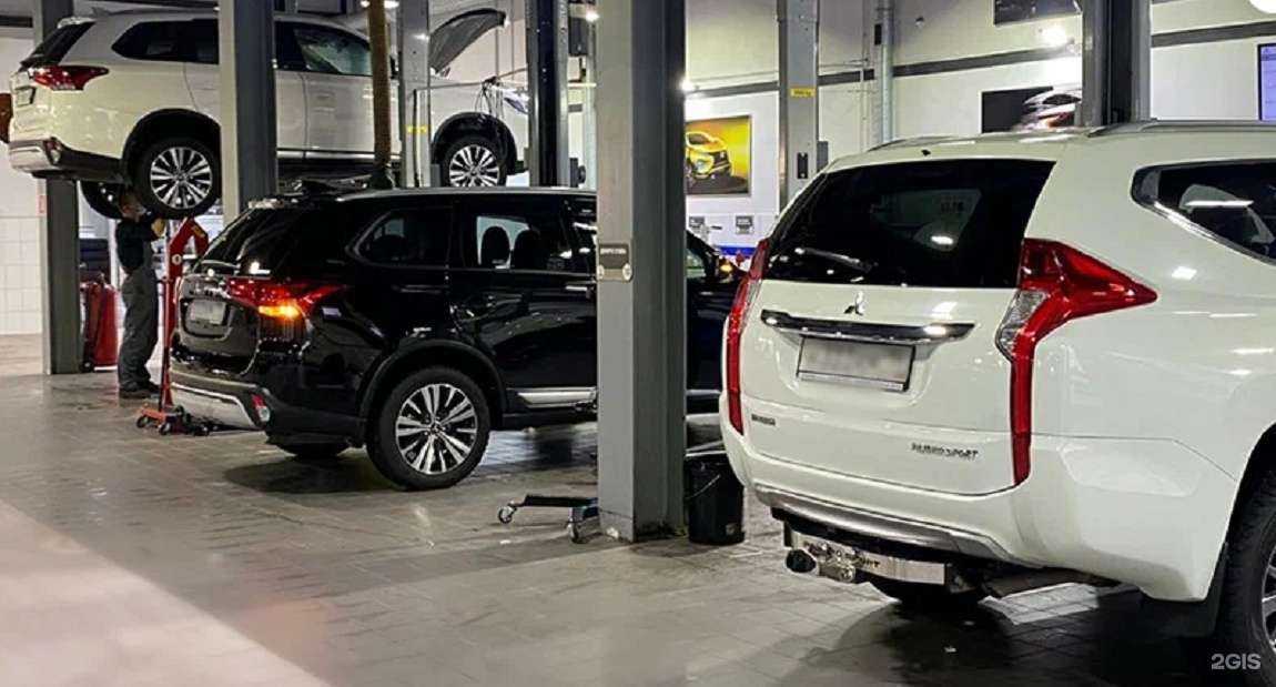 Отзывы на компанию Медведь в г. Абакан c фото