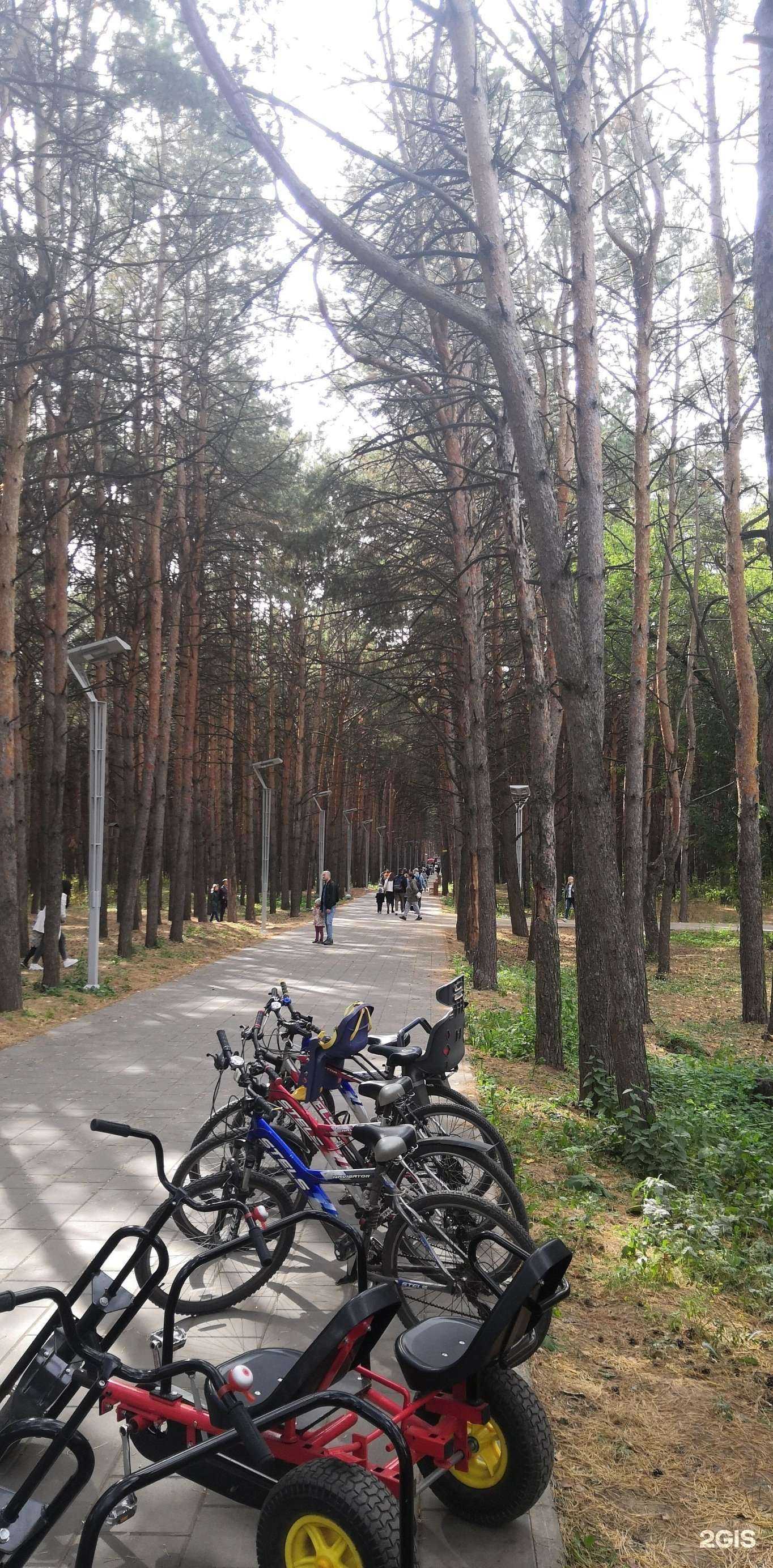 Отзывы на компанию Ну поgoди! в Набережных Челнах c фото