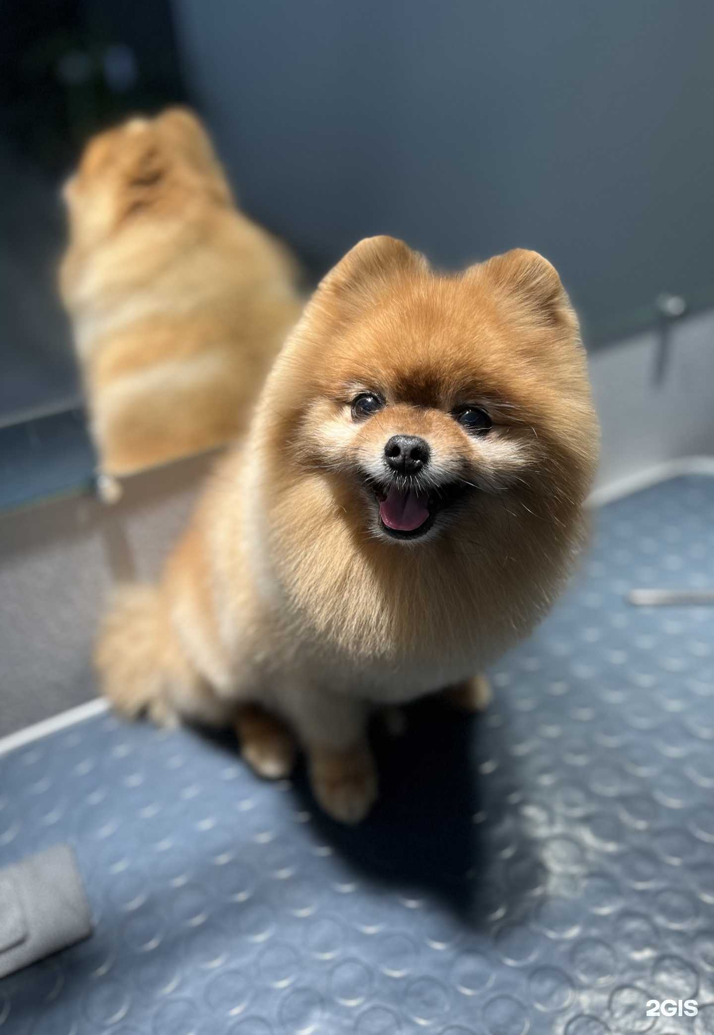 Отзывы на компанию Lilu в Барнауле c фото