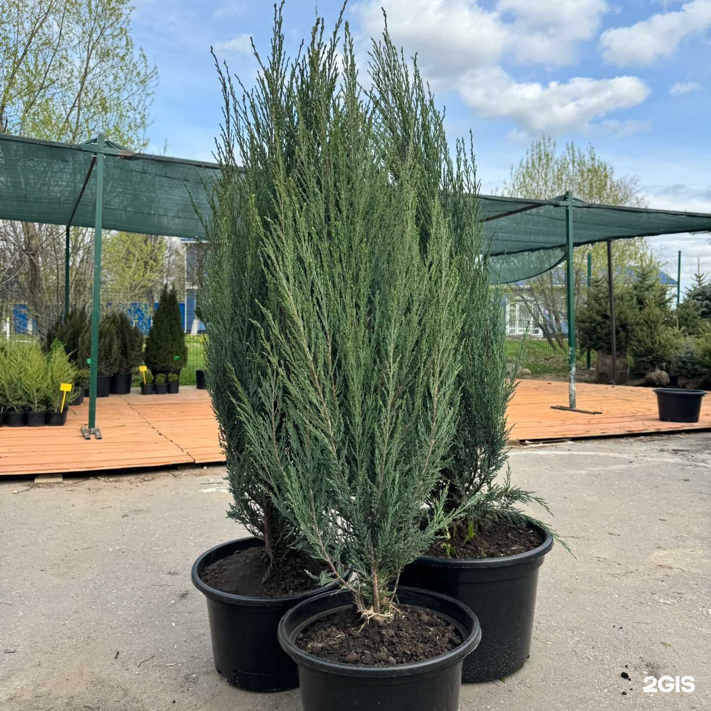 Отзывы на компанию Зеленое наследие в Бронницах c фото