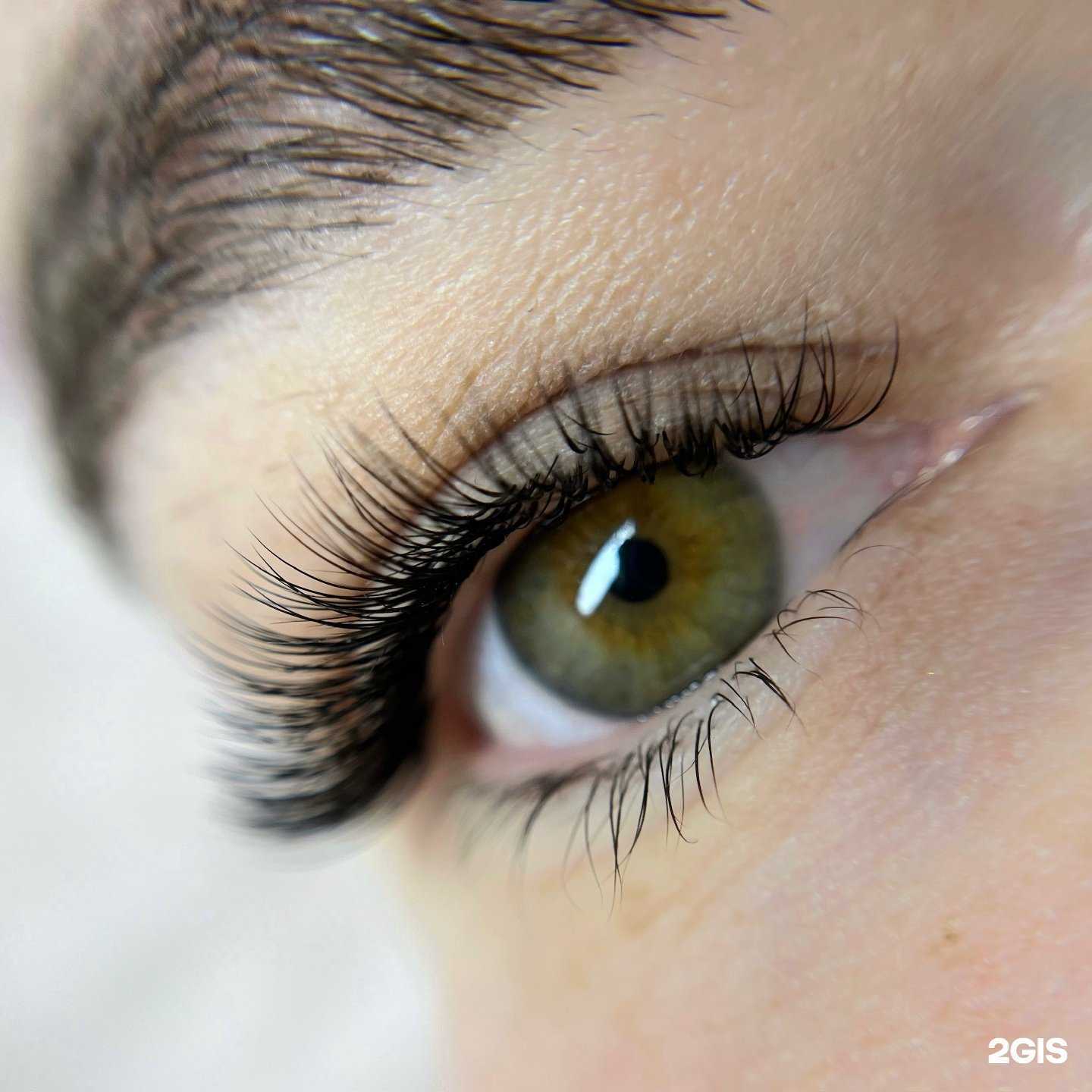 Отзывы на компанию Maya в г. Сыктывкар c фото