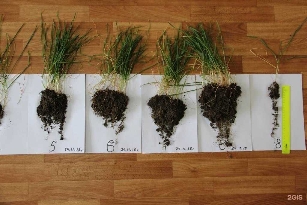 Отзывы на компанию КолХоз в Ростове-на-Дону c фото