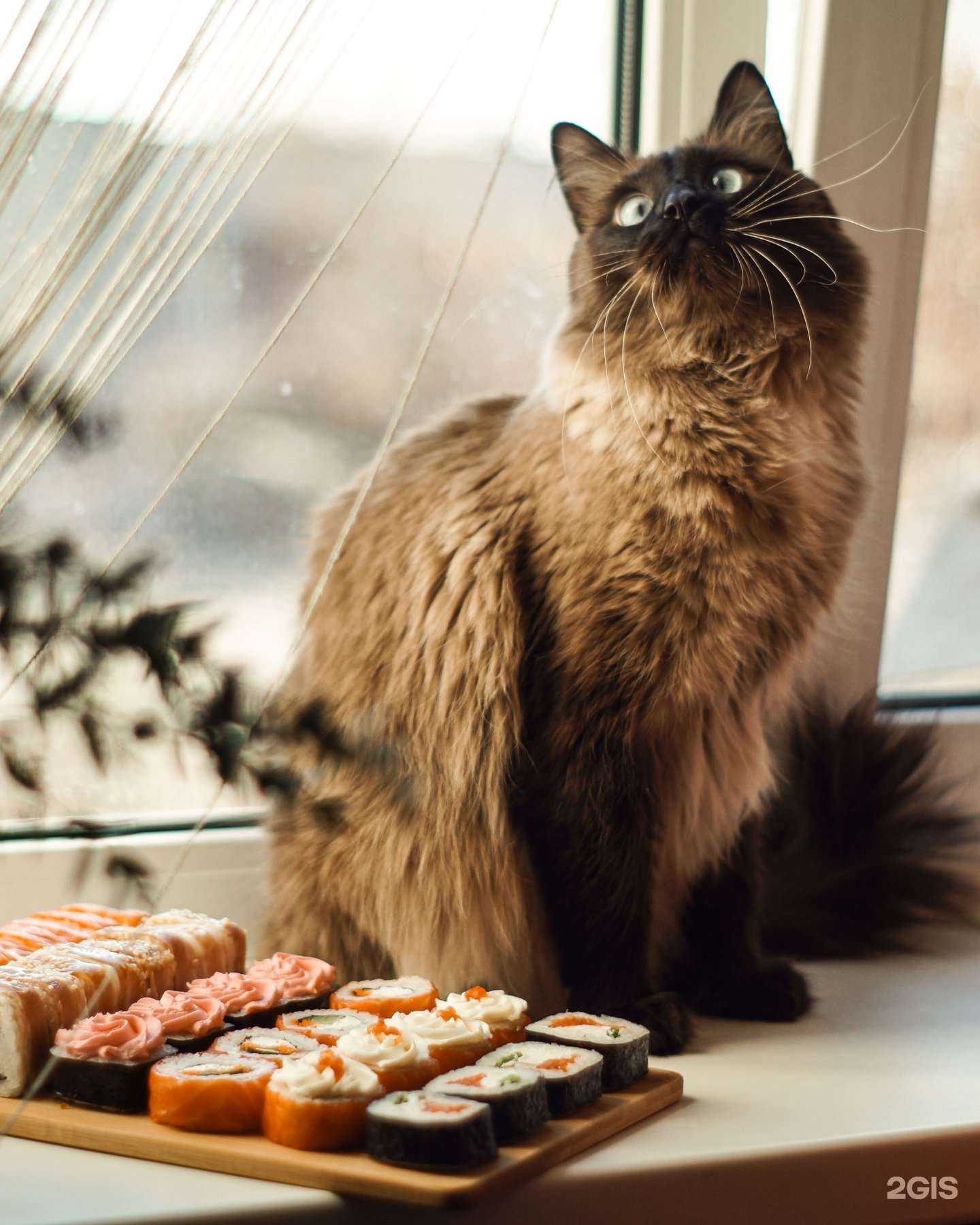 Отзывы на компанию Суши-Маркет в Калининграде c фото