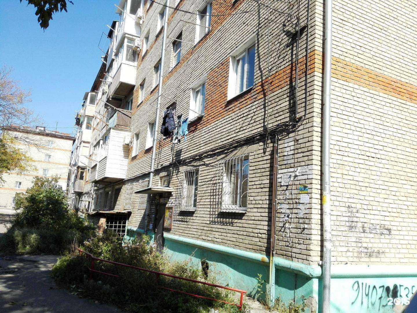 Отзывы на компанию Хвостатый друг в Находке c фото - фотография 2 из 2