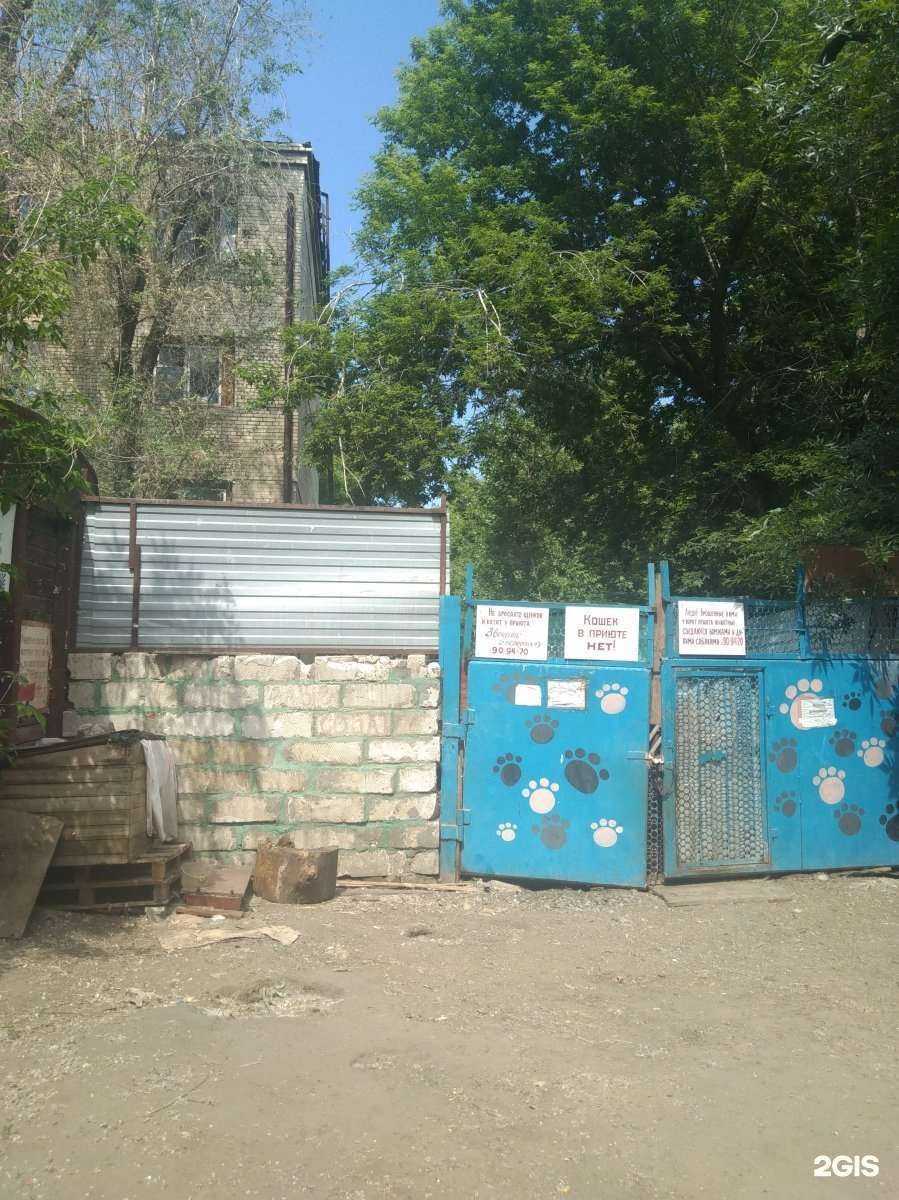 Отзывы на компанию Приют для бездомных животных в г. Саратов c фото