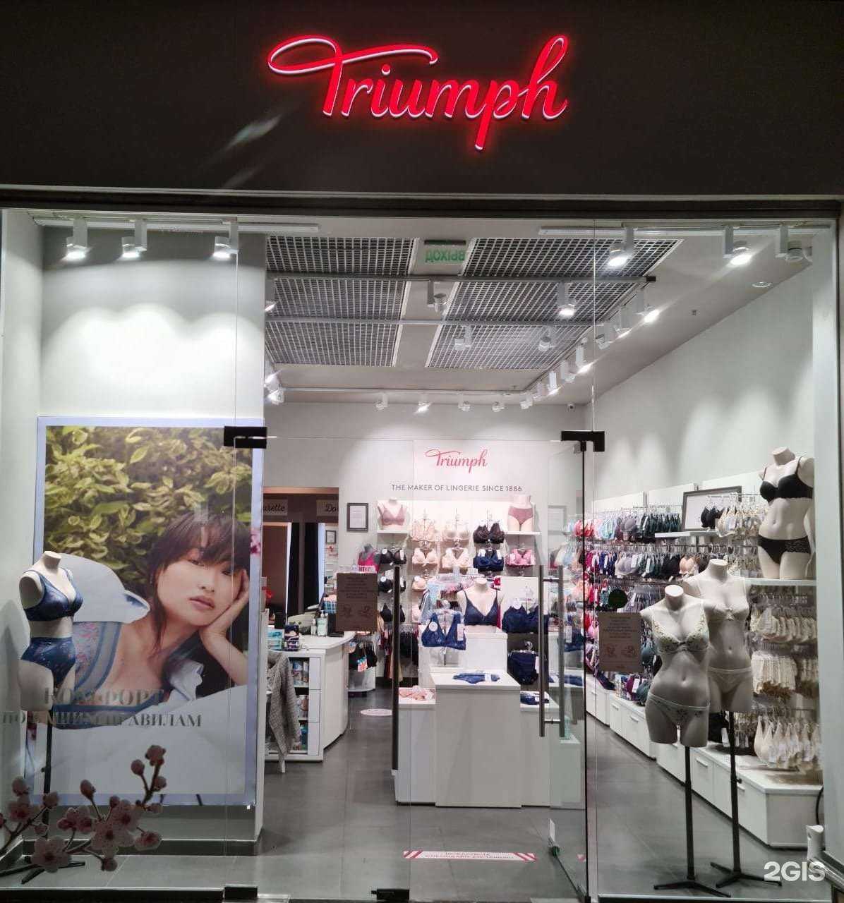 Отзывы на компанию Триумф в Рязани c фото