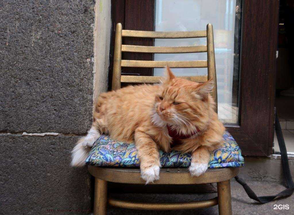 Отзывы на компанию Визит Выборг в Выборге c фото - фотография 2 из 2