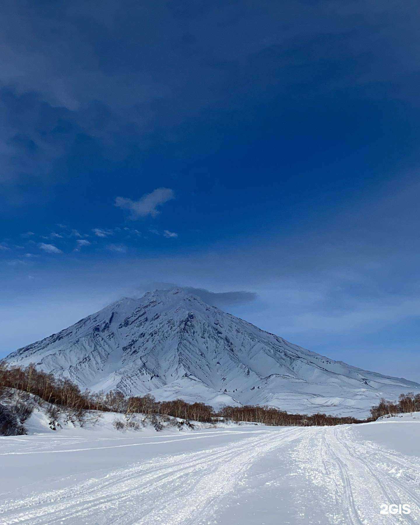 Отзывы на компанию Альпика плюс в Петропавловске-Камчатском c фото