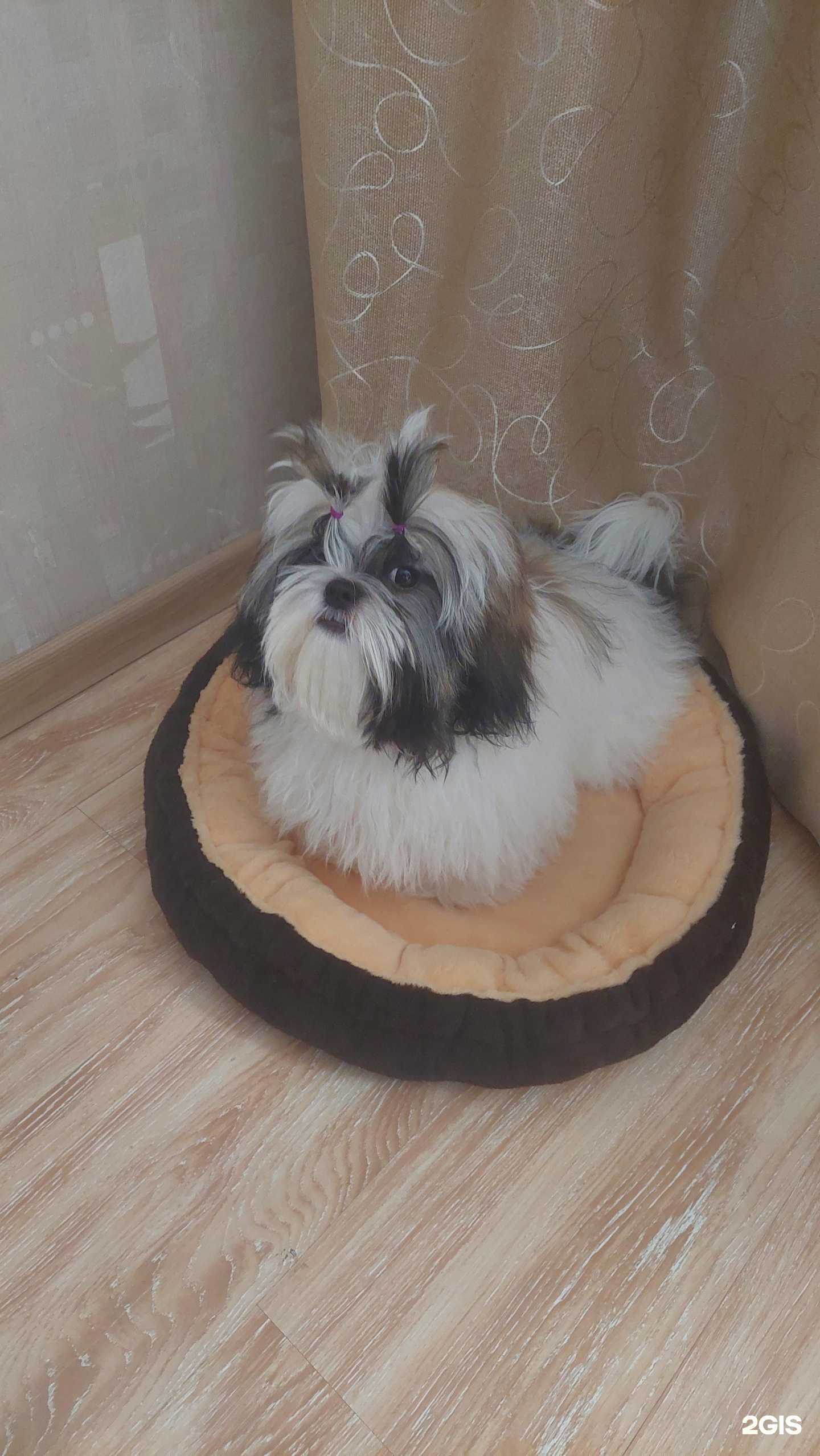 Отзывы на компанию ВетПроф в Кемерове c фото