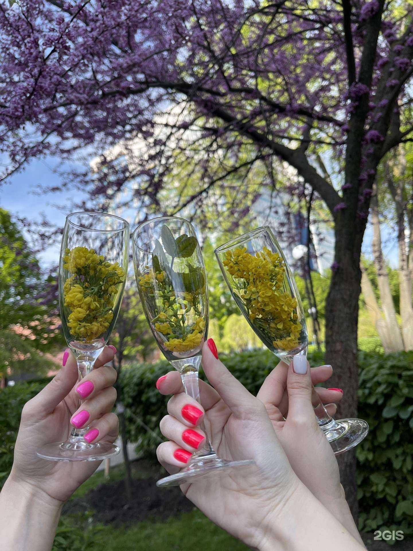 Отзывы на компанию Lacio в Ростове-на-Дону c фото