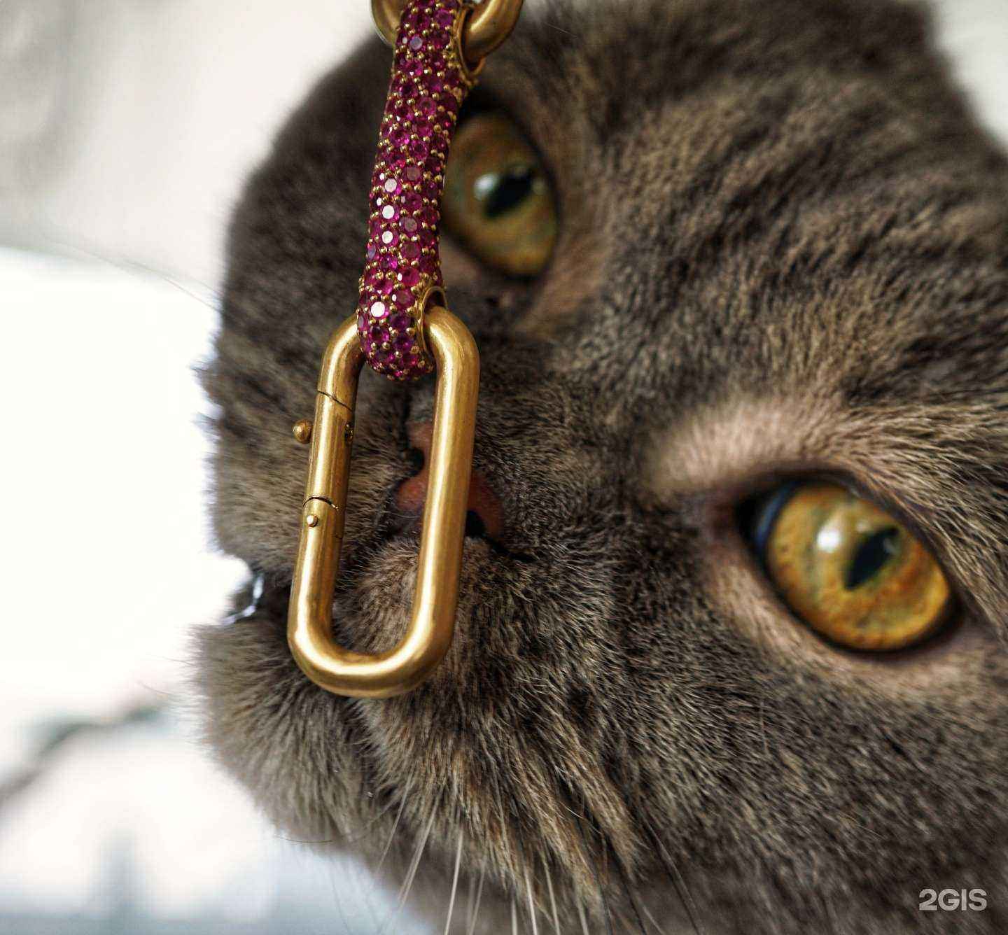 Отзывы на компанию Ювелирная мастерская Андрея Попова в г. Челябинск c фото