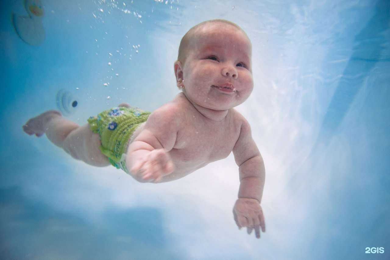 Отзывы на компанию Буль-Буль в Сочи c фото