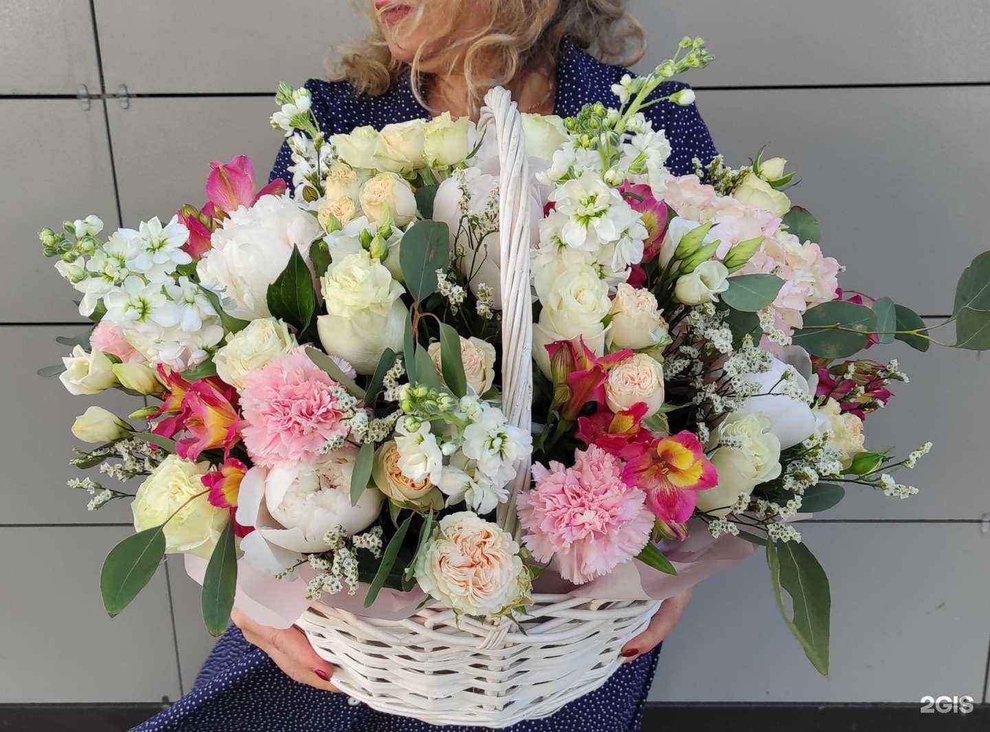 Отзывы на компанию Lisa в Альметьевске c фото