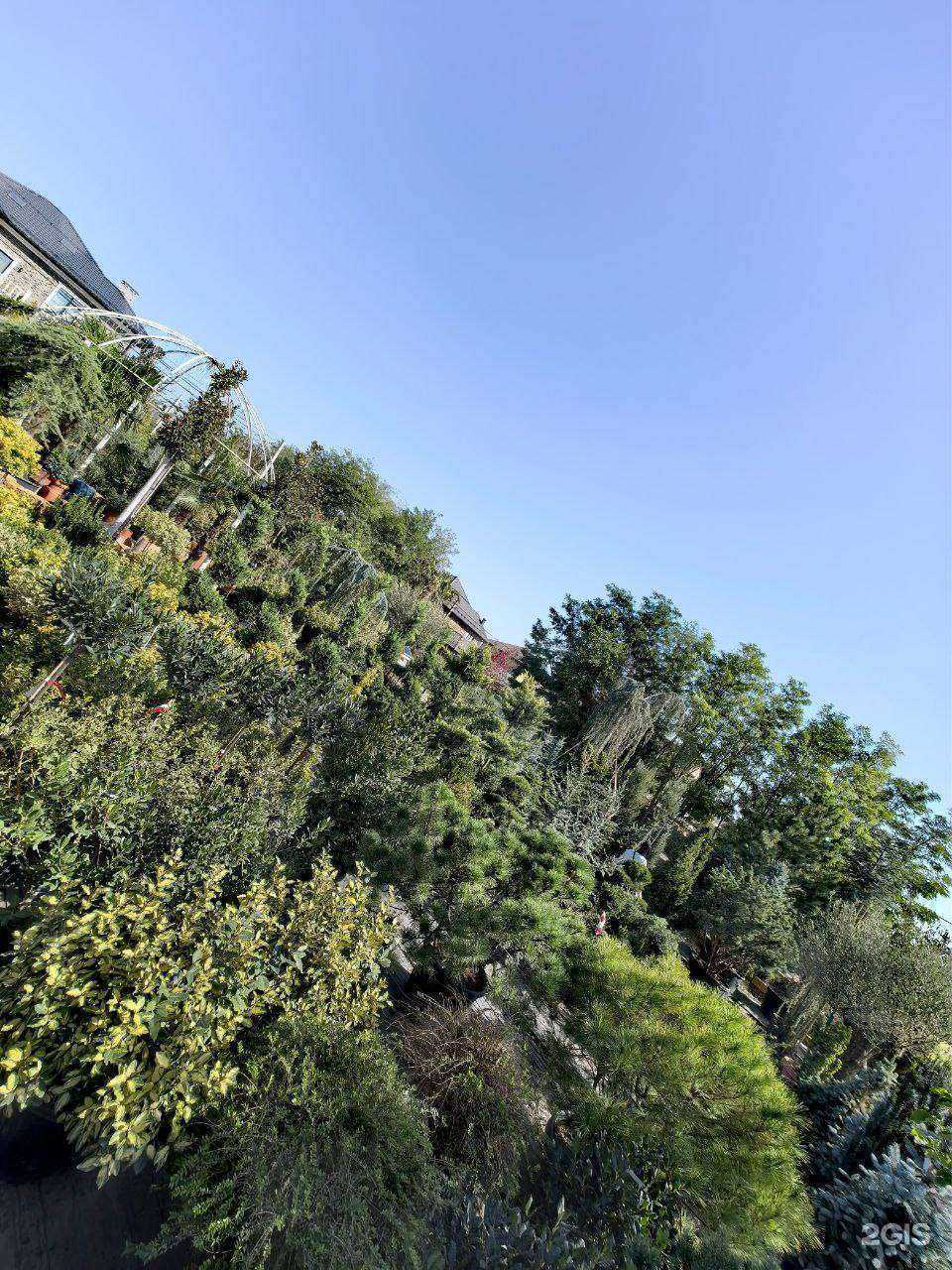 Отзывы на компанию ЕвроСад в Краснодаре c фото