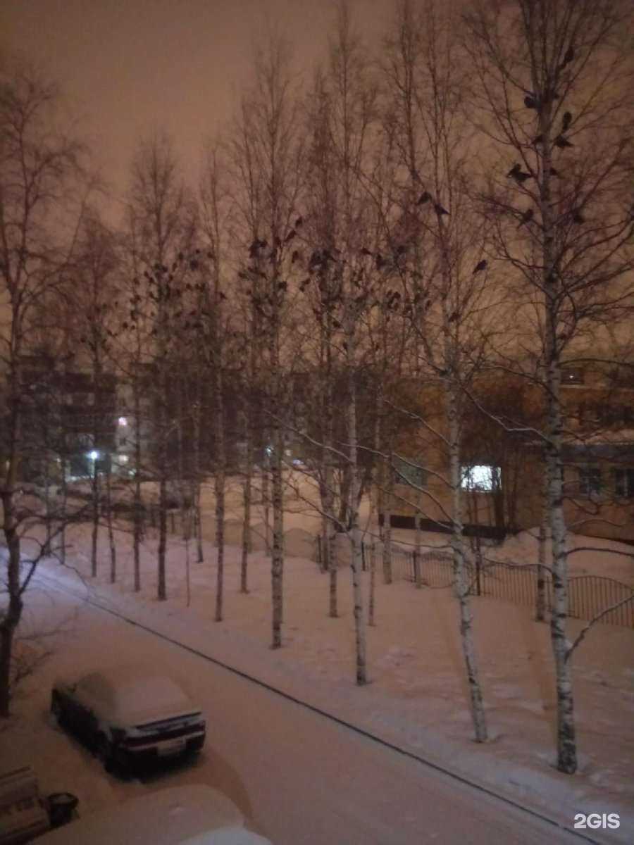 Отзывы на компанию Оптика+ в Сургуте c фото - фотография 2 из 2