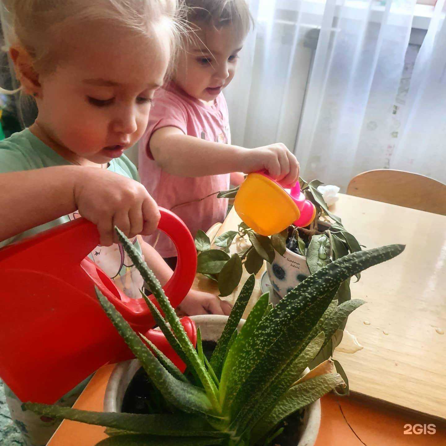 Отзывы на компанию Сибирячок в Новосибирске c фото