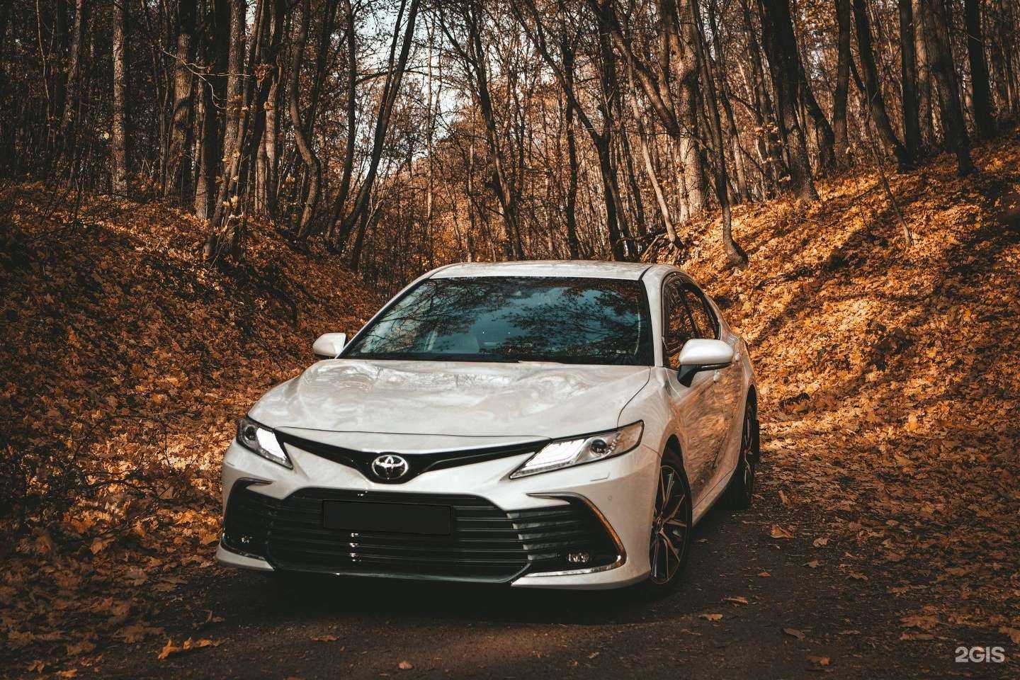 Отзывы на компанию Автолайн в г. Барнаул c фото