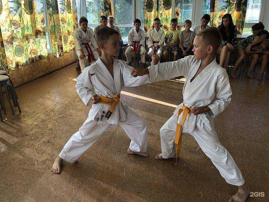 Отзывы на компанию ДЮСШ единоборств в г. Томск c фото
