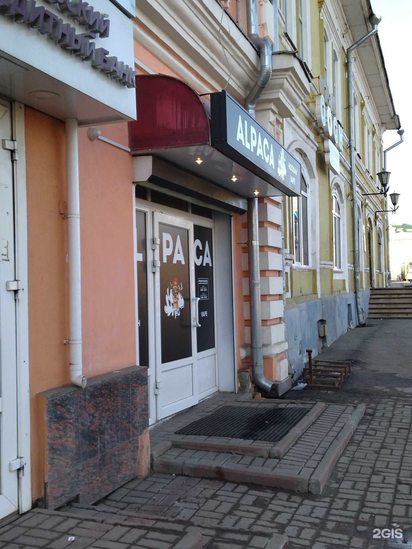 Отзывы на компанию Alpaca в г. Вологда c фото