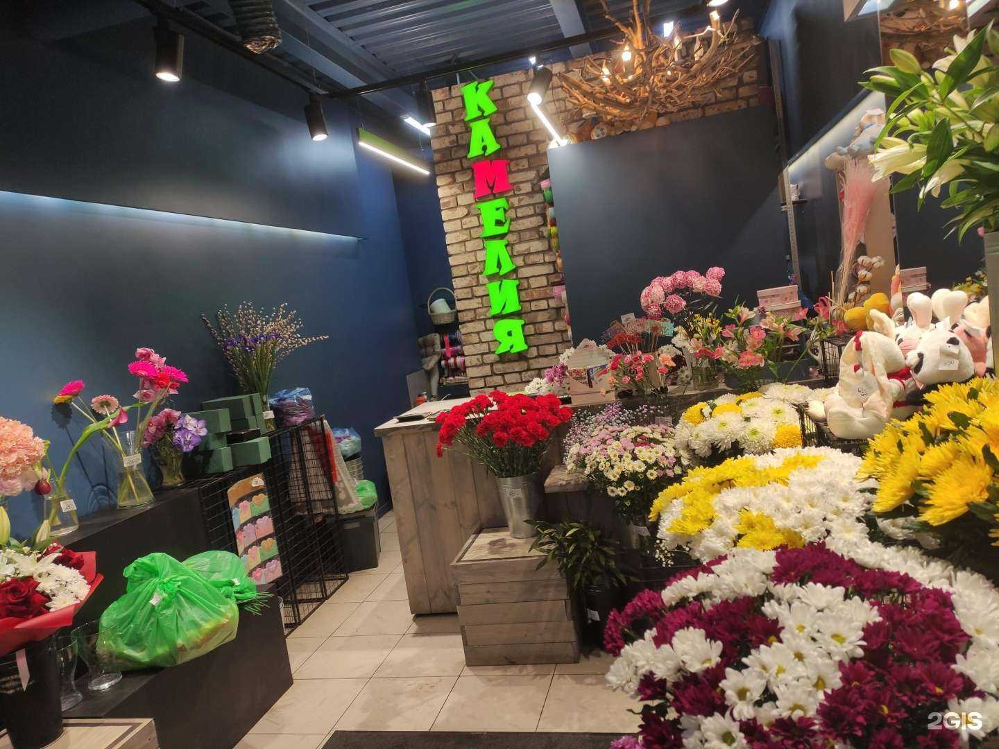 Отзывы на компанию Камелия в Сергиеве Посаде c фото