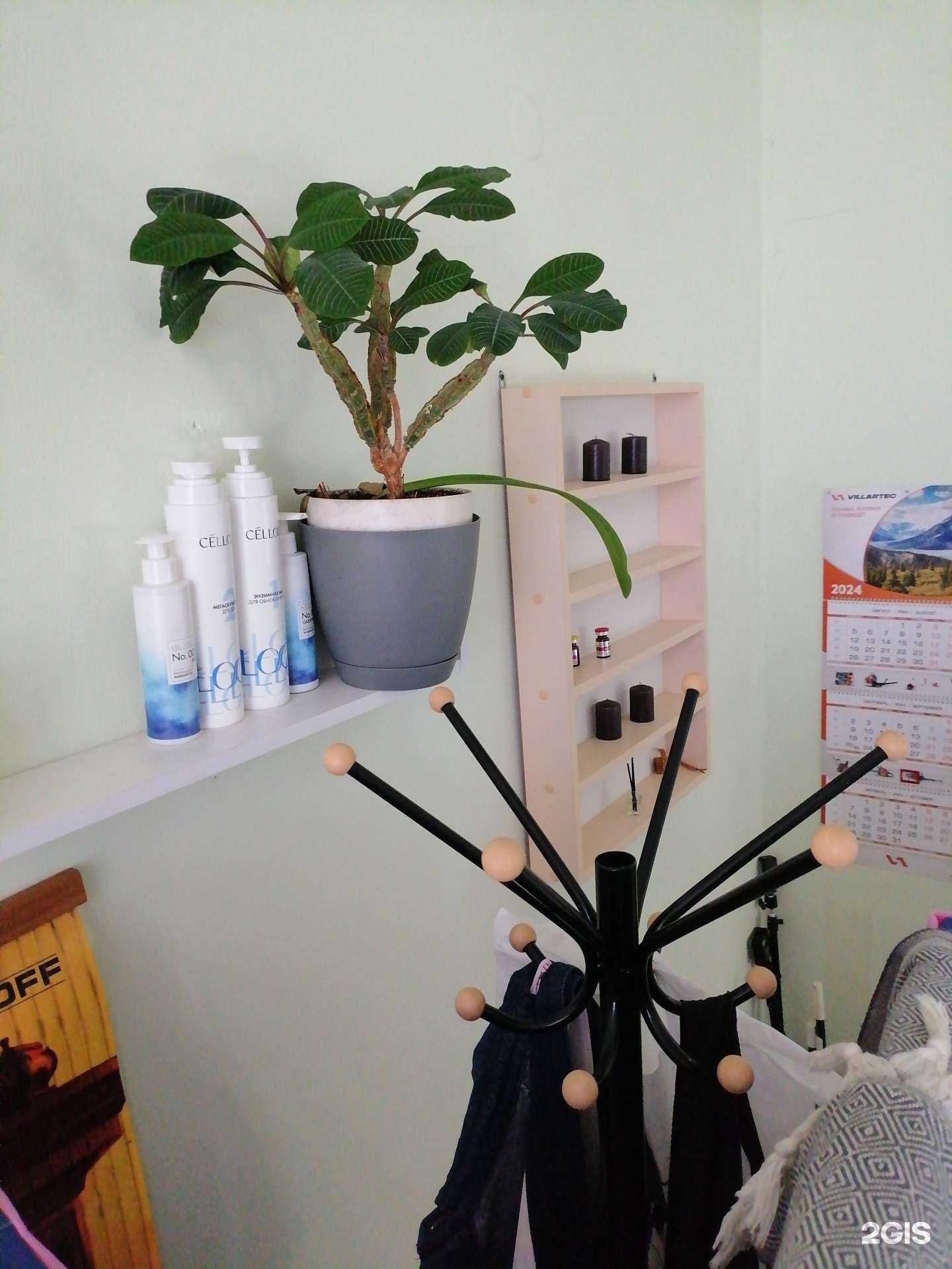 Отзывы на компанию Студия массажа лица и тела в Сортавале c фото