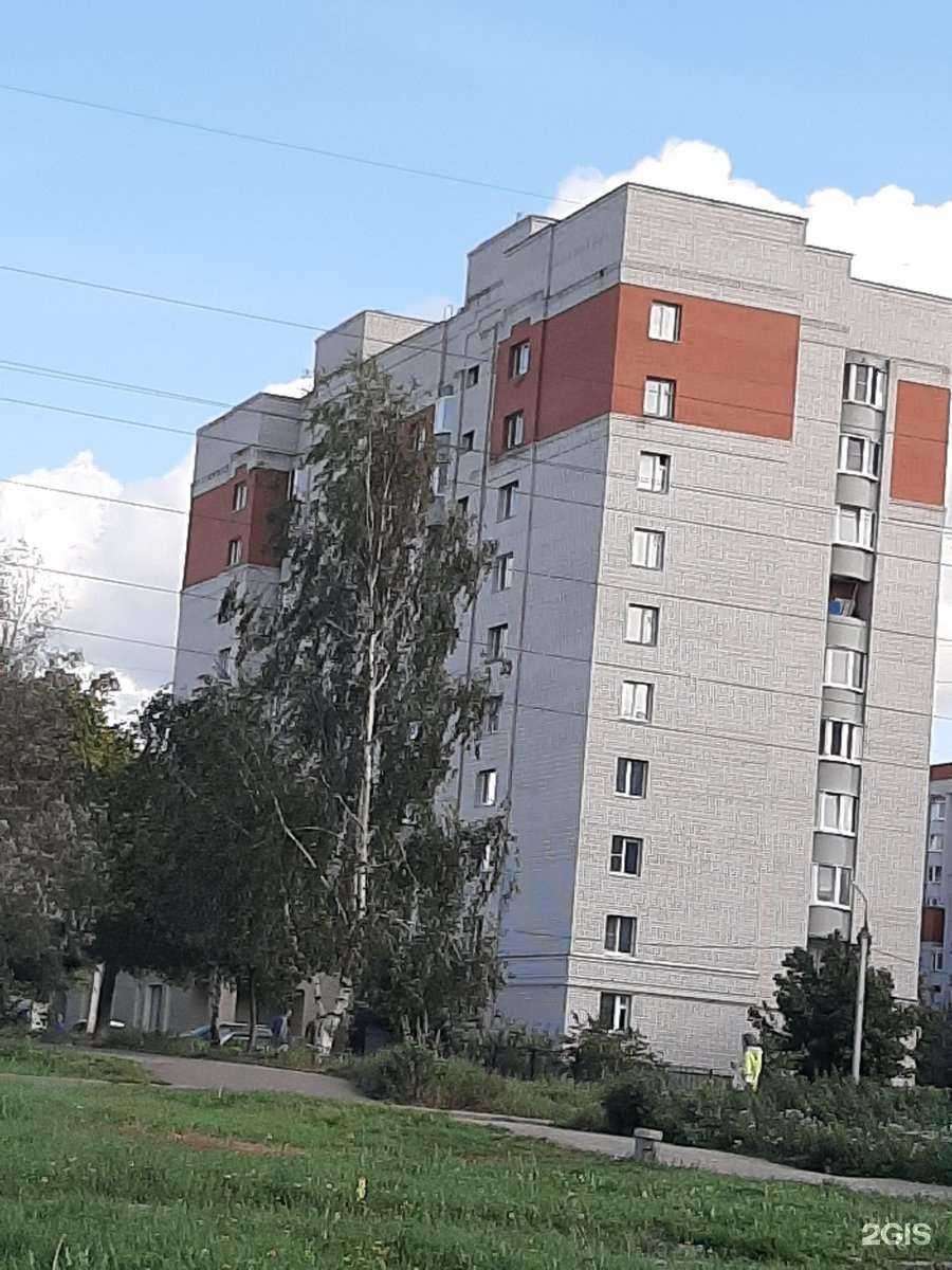 Отзывы на компанию Proektorpro в г. Владимир c фото