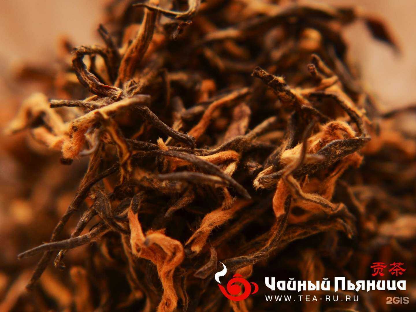 Отзывы на компанию Пьяный Чайница в г. Нижний Новгород c фото