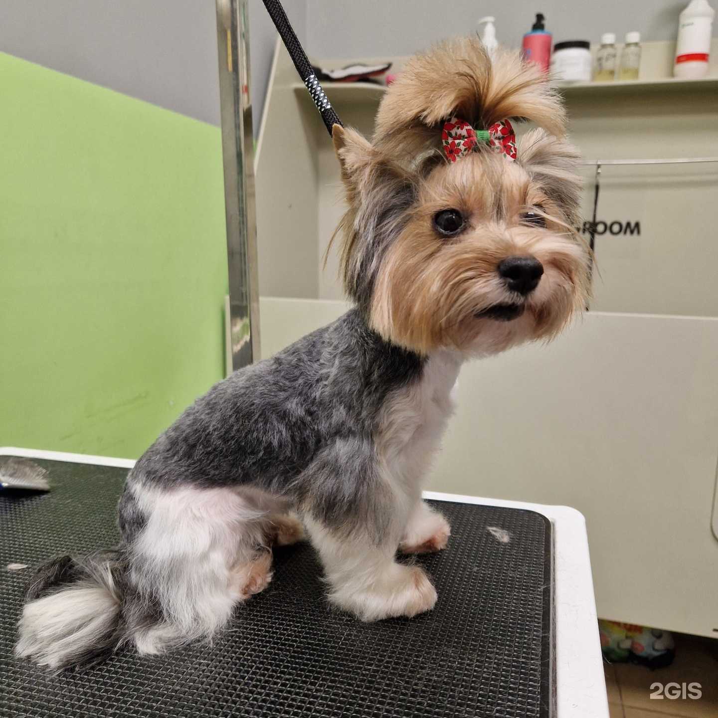 Отзывы на компанию Groom в Калининграде c фото