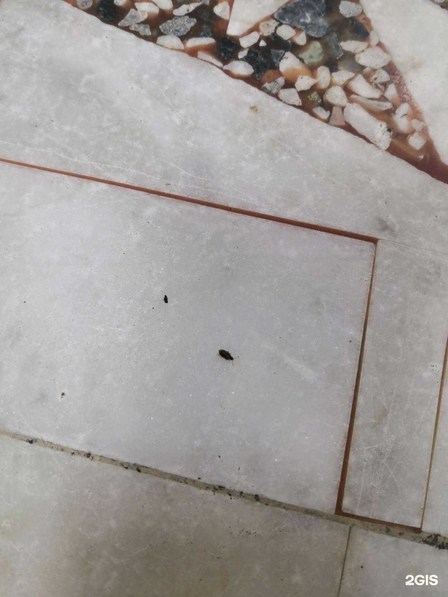 Отзывы на компанию На Сиреневом в Магнитогорске c фото