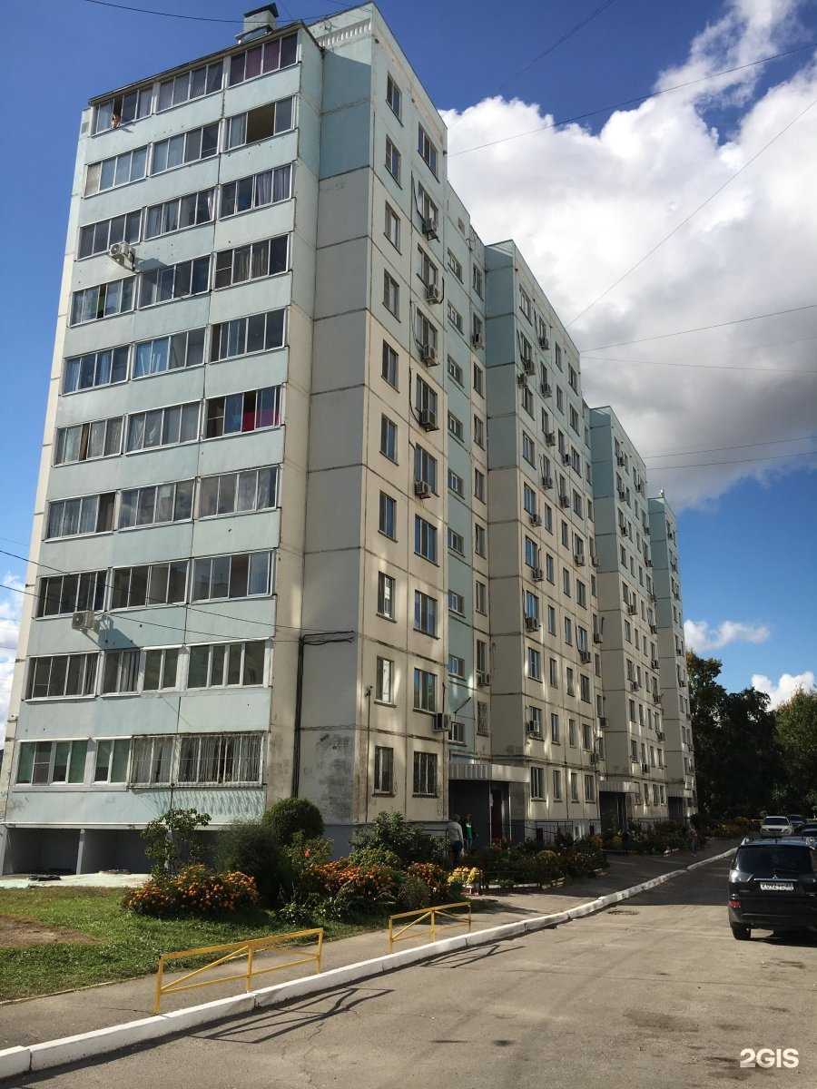 Отзывы на компанию Денди дог в Хабаровске c фото - фотография 2 из 2