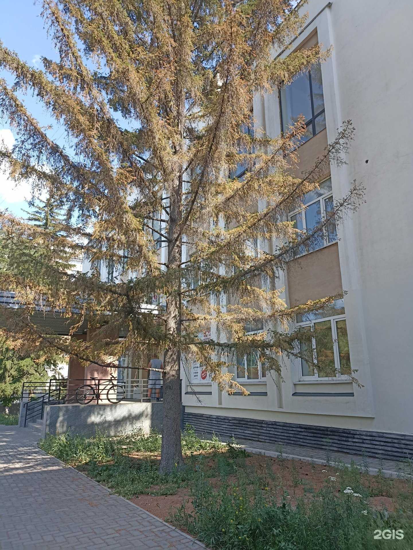 Отзывы на компанию Тактика в Орске c фото - фотография 2 из 2