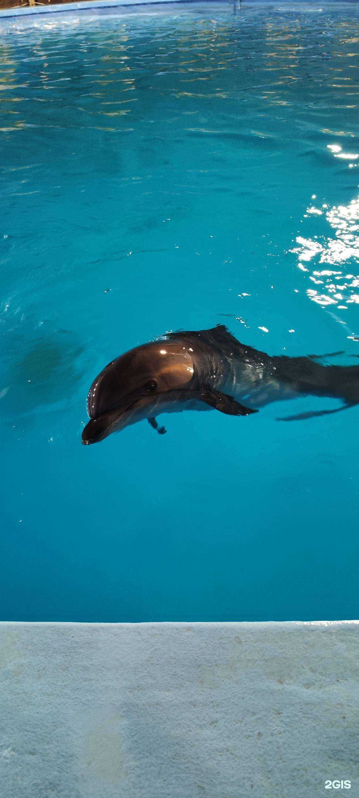 Отзывы на компанию Лоо №1 в Сочи c фото - фотография 2 из 2