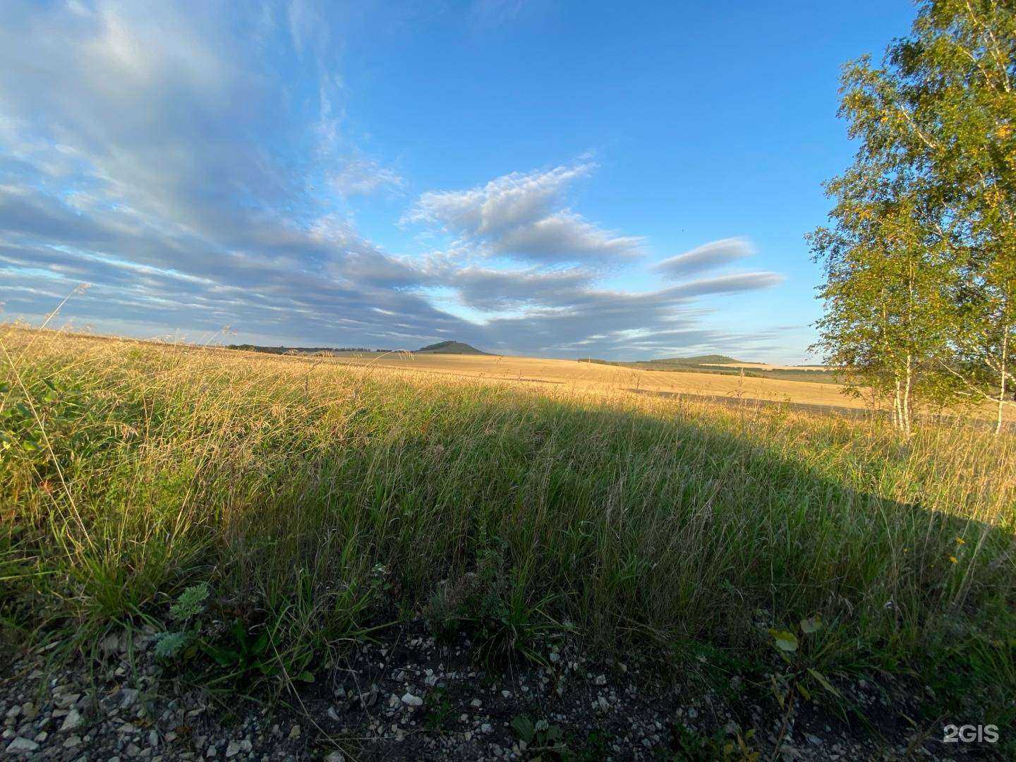 Отзывы на компанию Аиша Шева в Уфе c фото