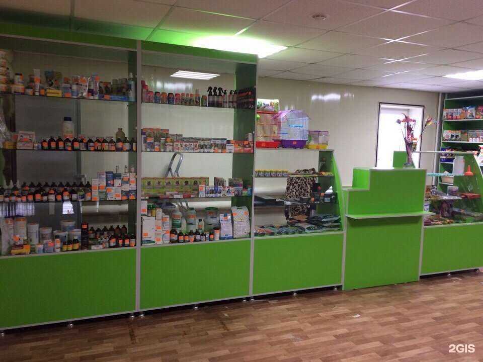 Отзывы на компанию Алиса в Волгограде c фото