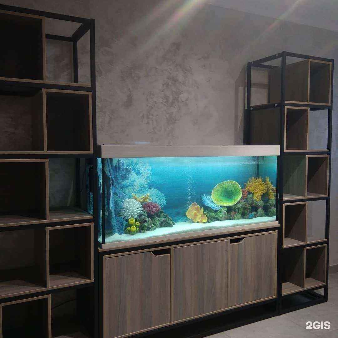 Отзывы на компанию Аквариум-Экзо в г. Казань c фото
