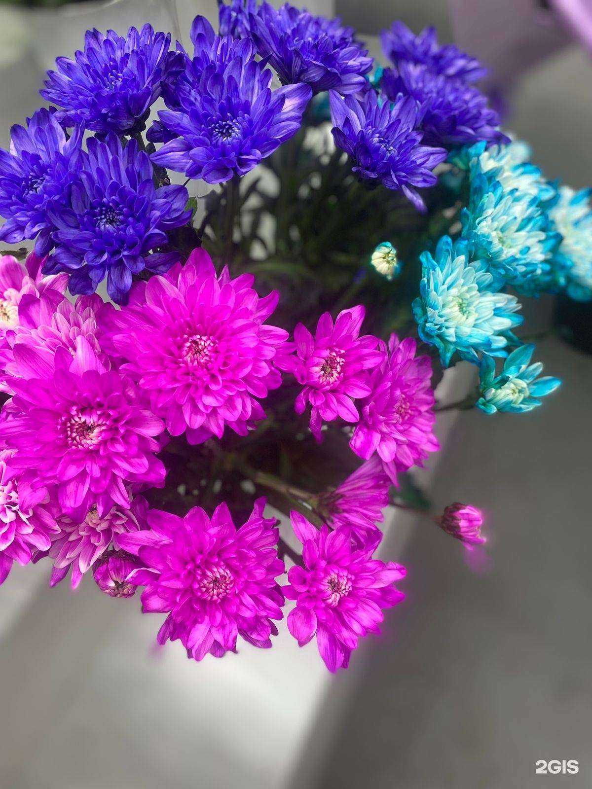 Отзывы на компанию Пион в Прокопьевске c фото