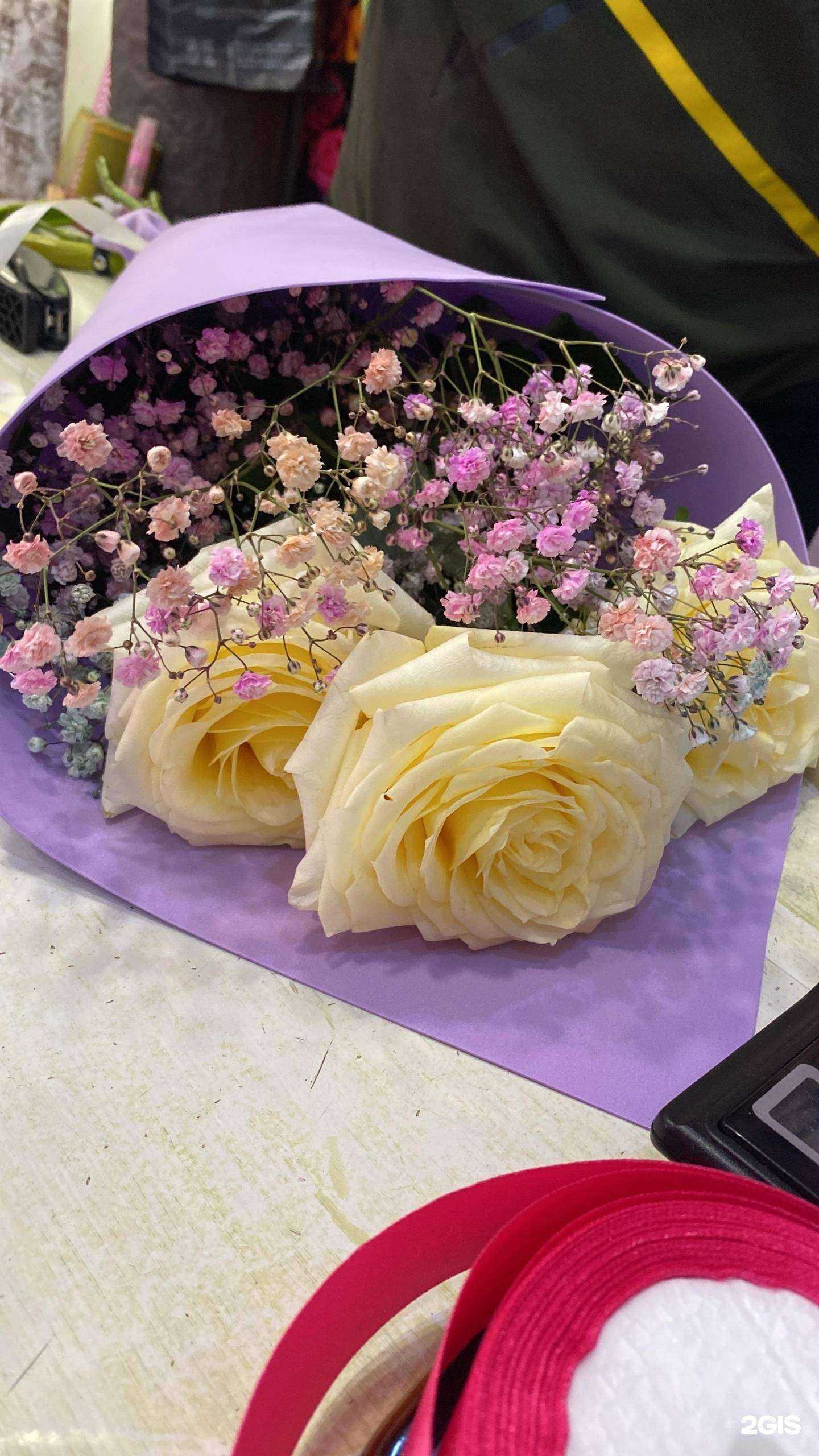 Отзывы на компанию Незабудки в Новом Уренгое c фото