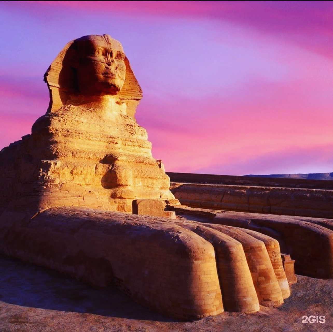 Отзывы на компанию Сфинкс Food в г. Сочи c фото