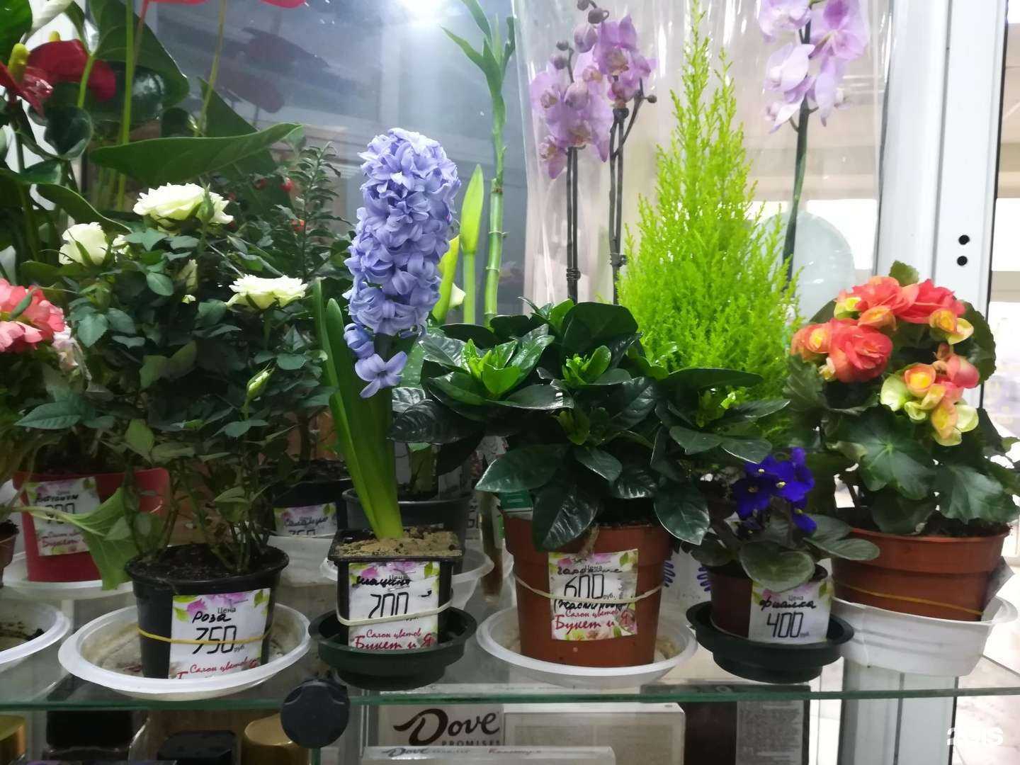 Отзывы на компанию Букет и Я в г. Смоленск c фото