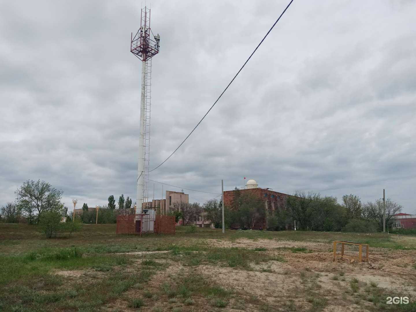 Отзывы на компанию Калмыцкий государственный университет им. Б.Б. Городовикова в Элисте c фото