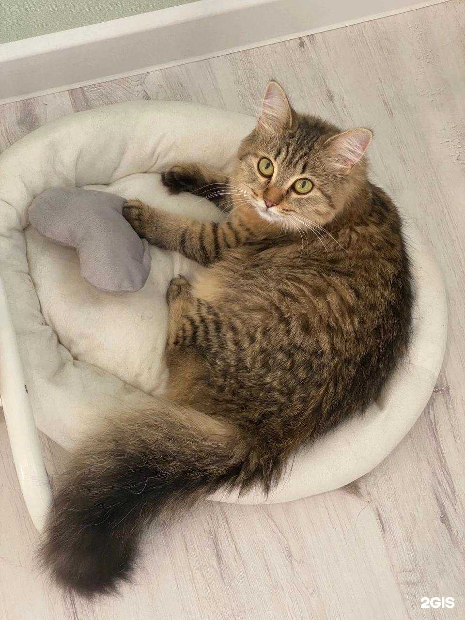 Отзывы на компанию Вита в Перми c фото