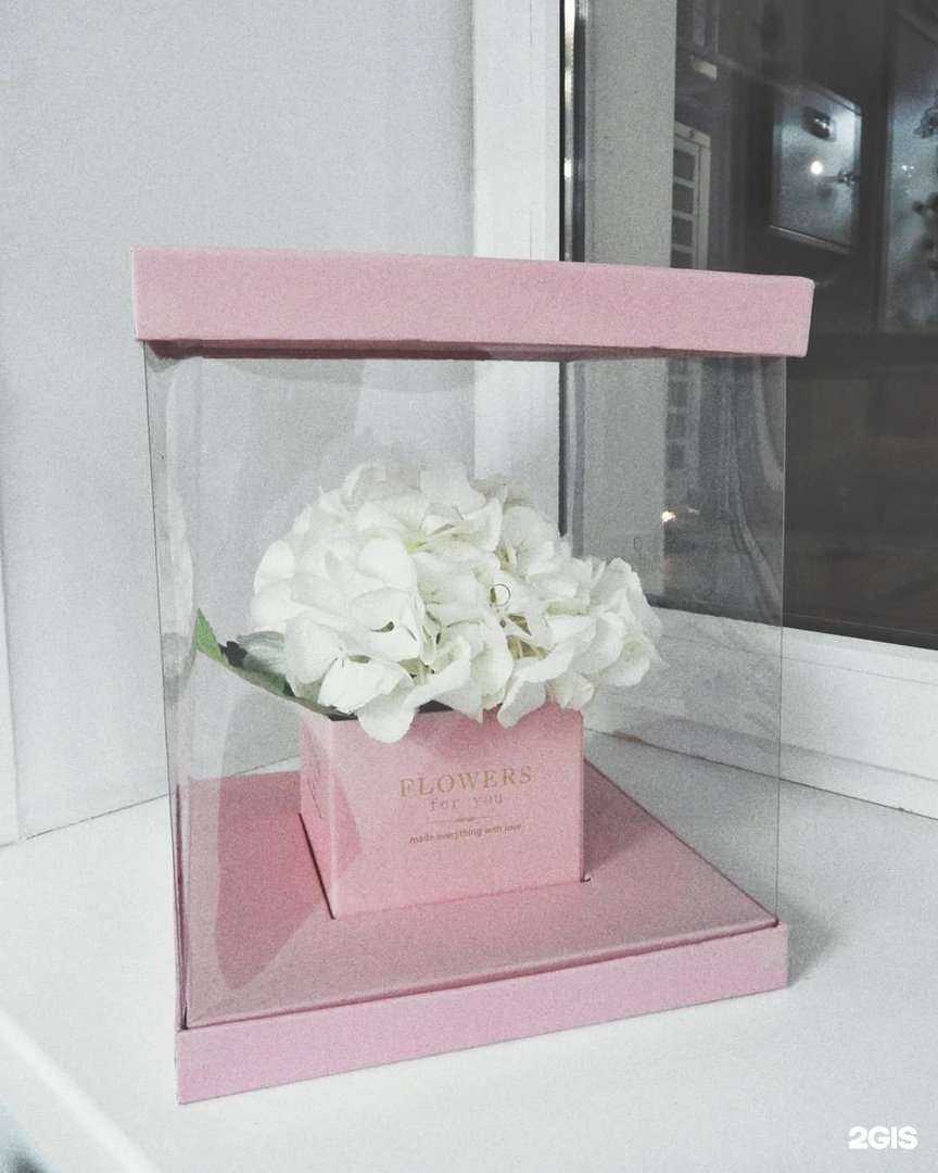 Отзывы на компанию Флореаль в Волгограде c фото