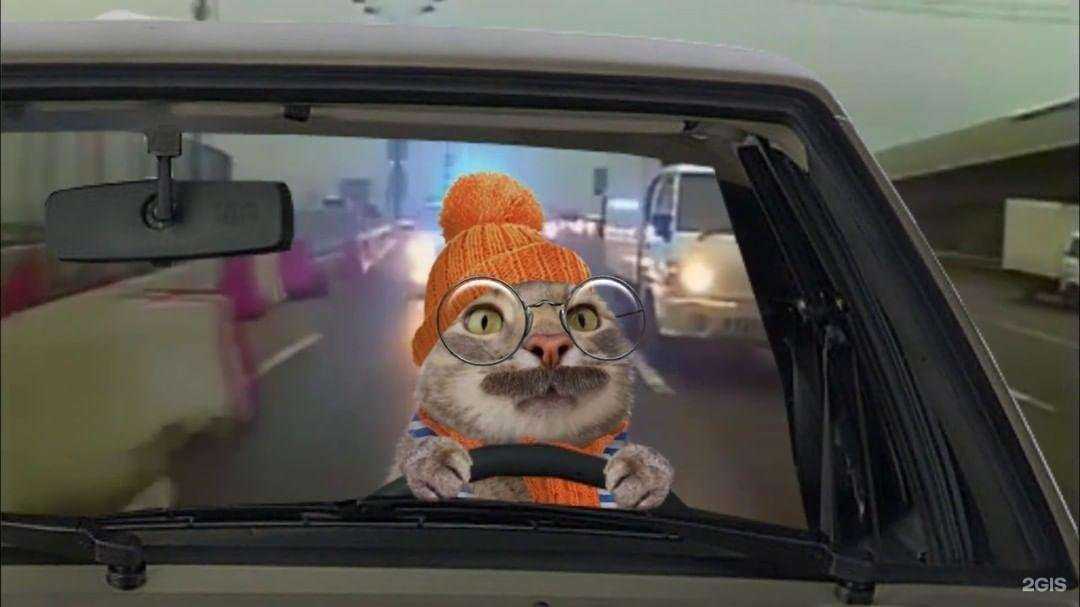 Отзывы на компанию Dadetal в Череповце c фото