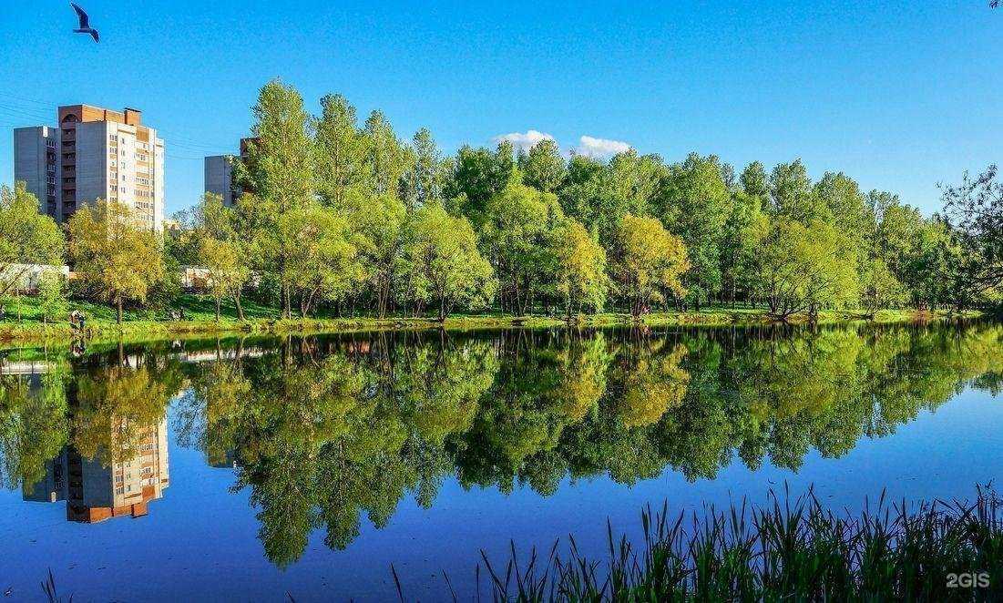 Отзывы на компанию Нефтяник в Ярославле c фото