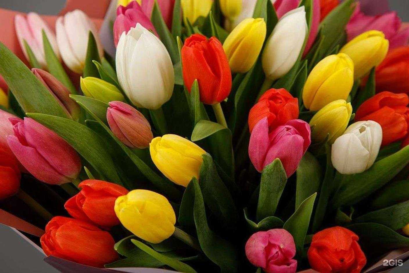 Отзывы на компанию АртБукет в Твери c фото