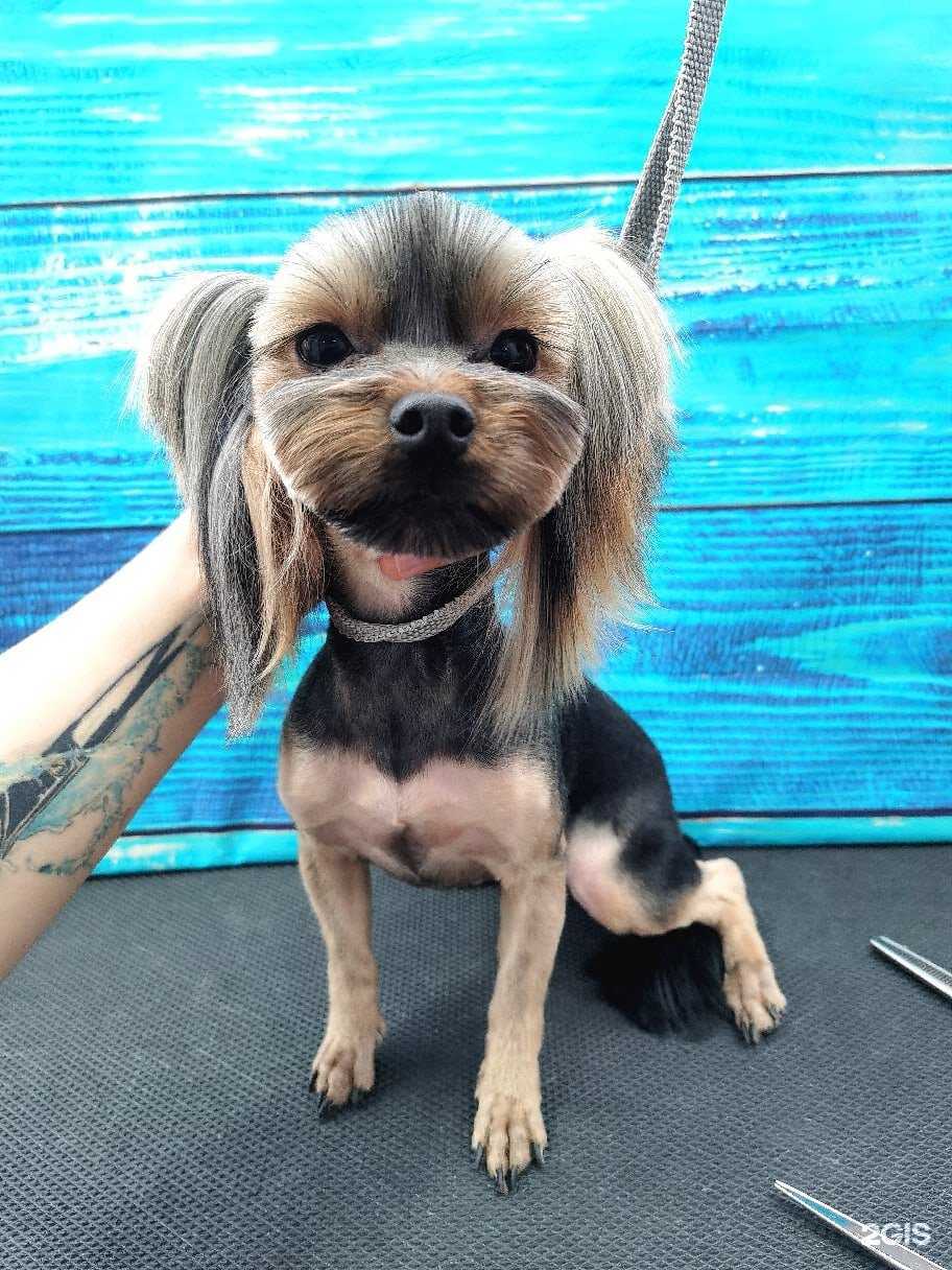 Отзывы на компанию Баловень в Калининграде c фото